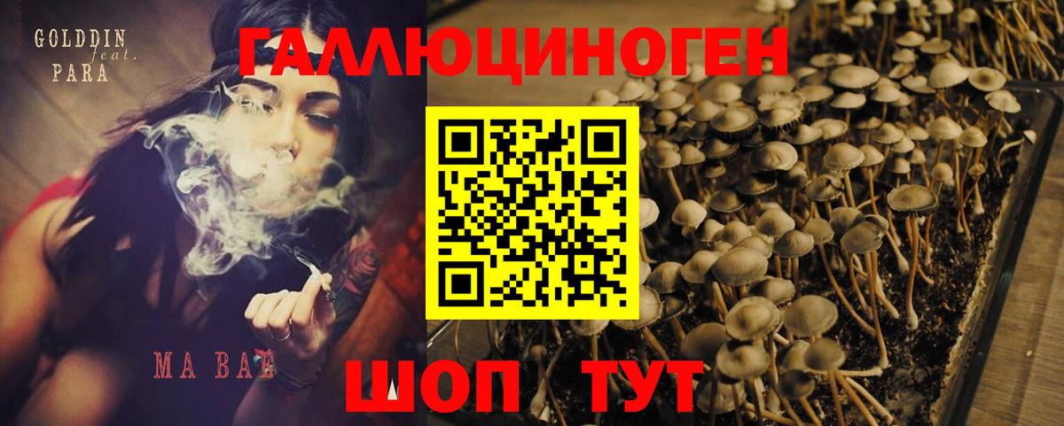Усолье-Сибирское  Псилоцибиновые грибы GOLDEN TEACHER  Вход с VPN 